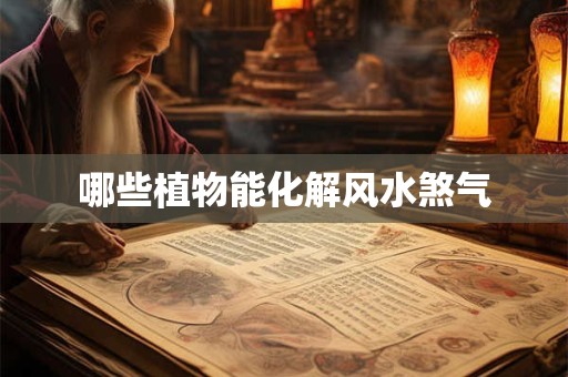 哪些植物能化解风水煞气