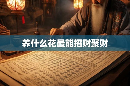 养什么花最能招财聚财