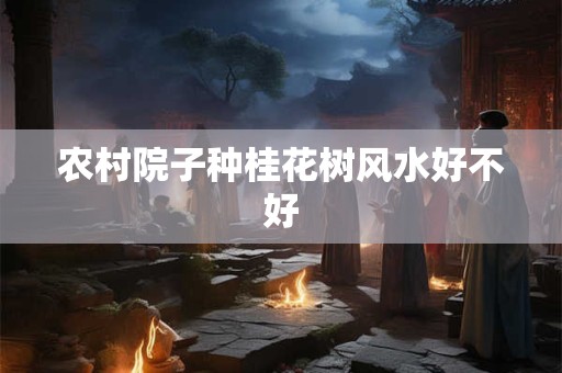 农村院子种桂花树风水好不好