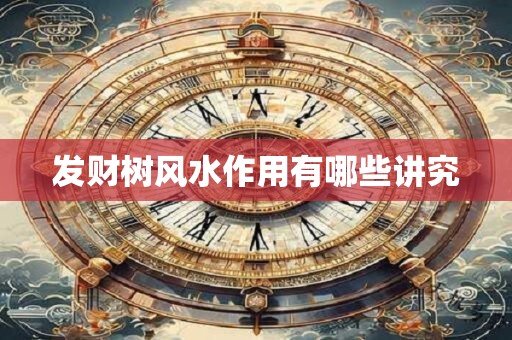 发财树风水作用有哪些讲究