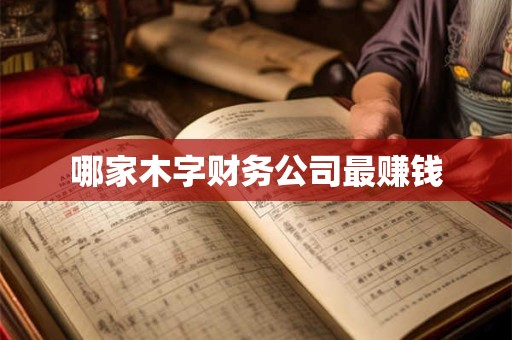 哪家木字财务公司最赚钱