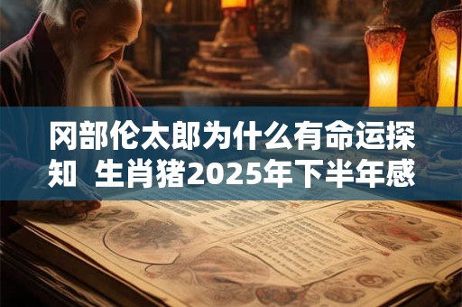 详细阅读:冈部伦太郎为什么有命运探知 生肖猪2025年下半年感情运势 冈部伦太郎为什么有命运探知 生肖猪2025年下半年感情运势