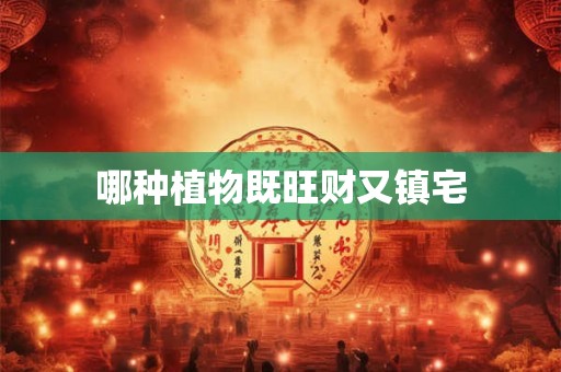 哪种植物既旺财又镇宅