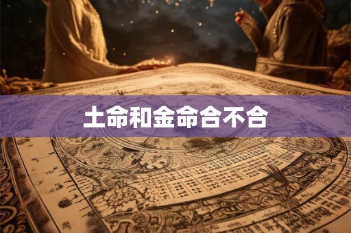 土命和金命合不合