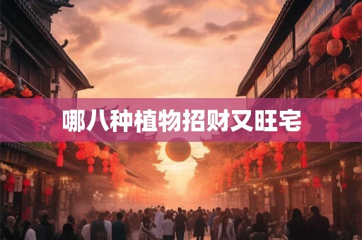 哪八种植物招财又旺宅