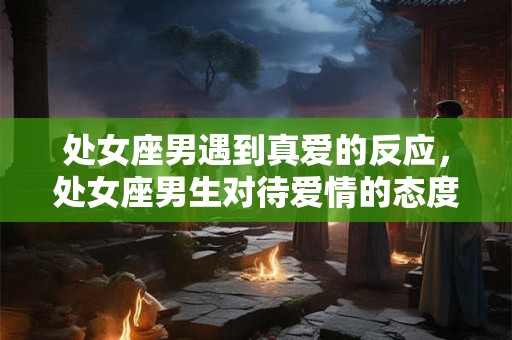 处女座男遇到真爱的反应，处女座男生对待爱情的态度