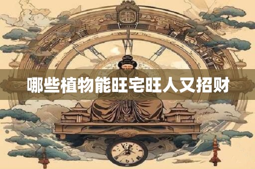 哪些植物能旺宅旺人又招财