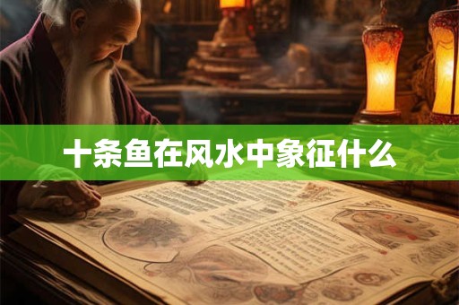 十条鱼在风水中象征什么
