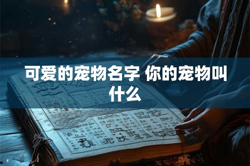 可爱的宠物名字 你的宠物叫什么