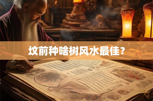 详细阅读:坟前种啥树风水最佳? 坟前种啥树风水最佳?
