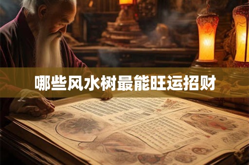 哪些风水树最能旺运招财