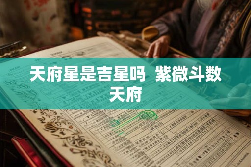 天府星是吉星吗  紫微斗数天府