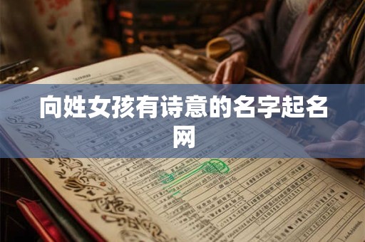 向姓女孩有诗意的名字起名网