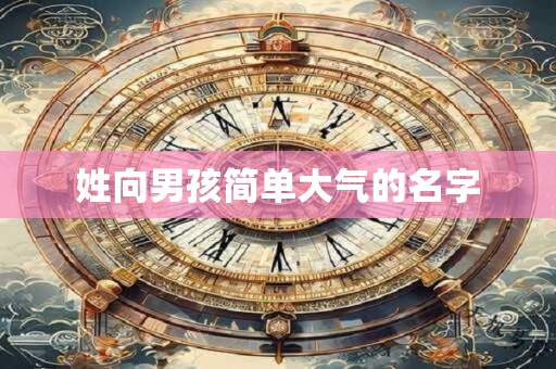 详细阅读:姓向男孩简单大气的名字 姓向男孩简单大气的名字