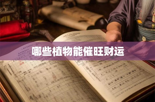 哪些植物能催旺财运