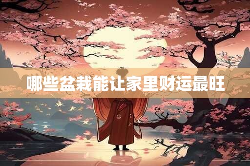 哪些盆栽能让家里财运最旺