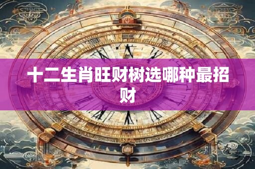 十二生肖旺财树选哪种最招财