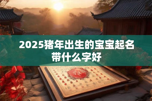 2025猪年出生的宝宝起名带什么字好