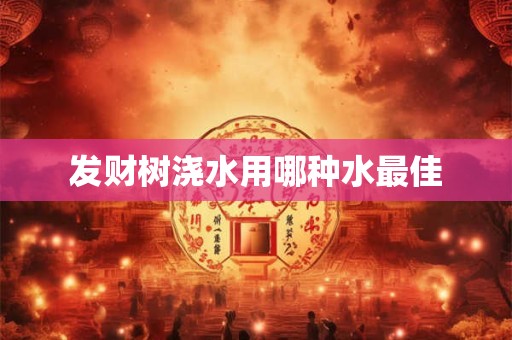 发财树浇水用哪种水最佳