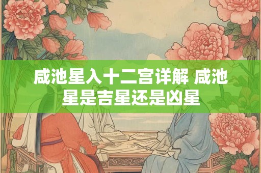 咸池星入十二宫详解 咸池星是吉星还是凶星