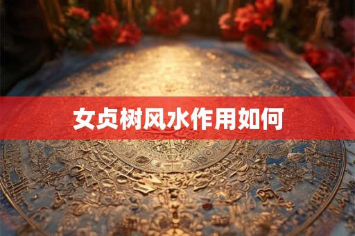 女贞树风水作用如何
