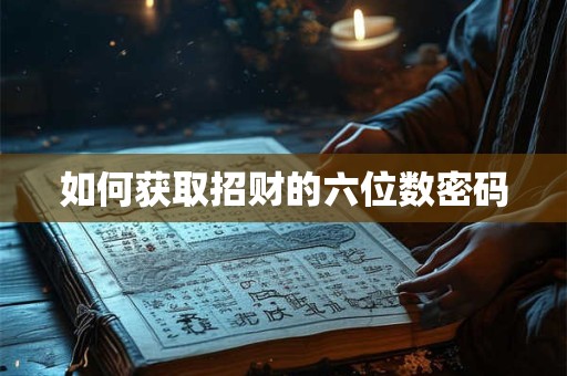 如何获取招财的六位数密码