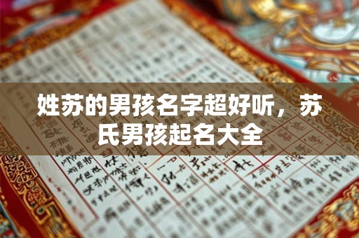 姓苏的男孩名字超好听,苏氏男孩起名大全 姓苏的男孩名字超好听,苏氏男孩起名大全