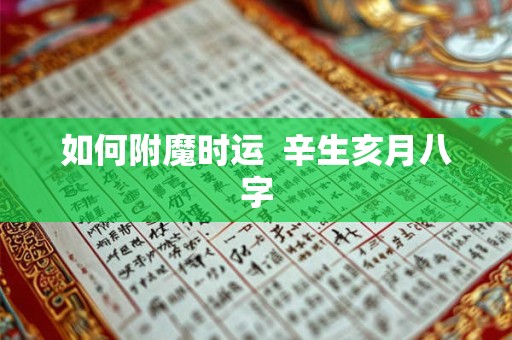 如何附魔时运  辛生亥月八字