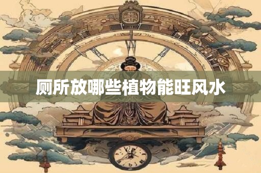 厕所放哪些植物能旺风水