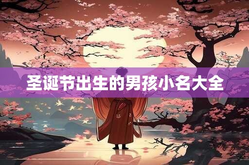 详细阅读:圣诞节出生的男孩小名大全 圣诞节出生的男孩小名大全