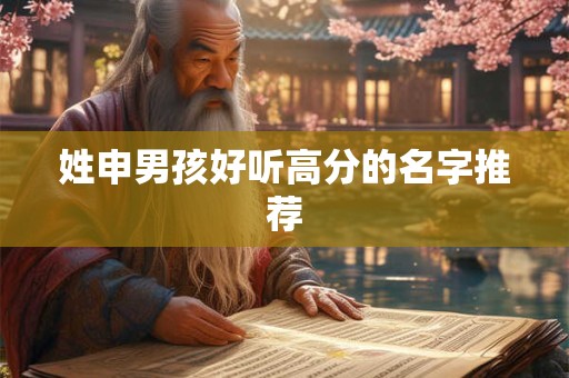 姓申男孩好听高分的名字推荐