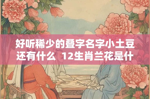 好听稀少的叠字名字小土豆还有什么  12生肖兰花是什么生肖