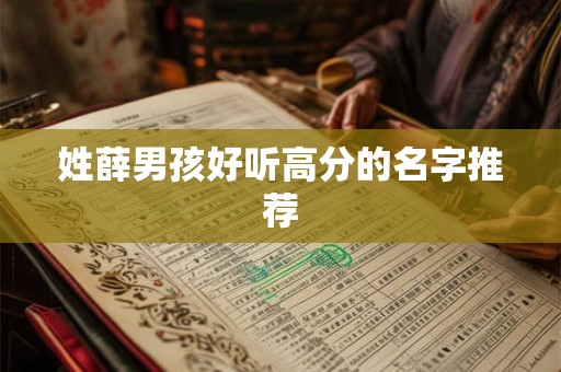 姓薛男孩好听高分的名字推荐