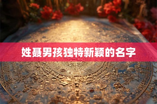 姓聂男孩独特新颖的名字