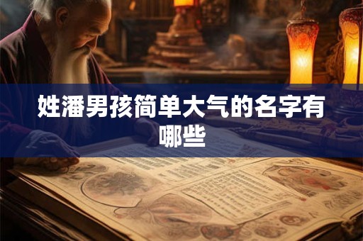 姓潘男孩简单大气的名字有哪些