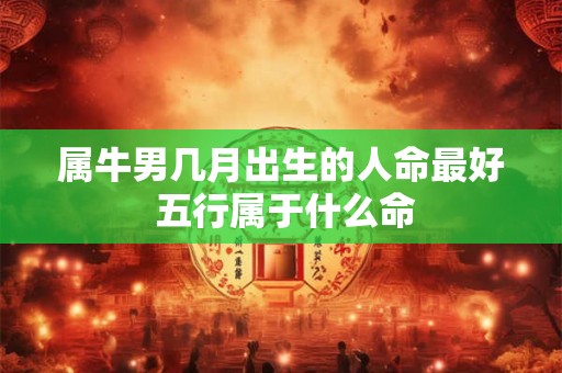 属牛男几月出生的人命最好 五行属于什么命
