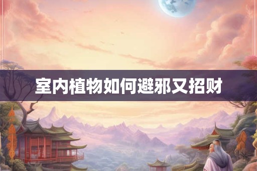 室内植物如何避邪又招财
