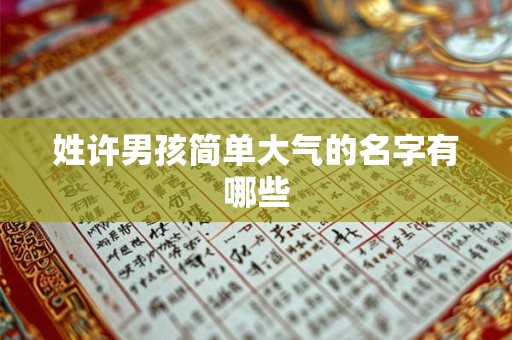 姓许男孩简单大气的名字有哪些