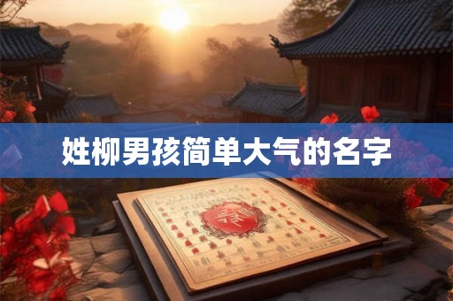 姓柳男孩简单大气的名字 姓柳男孩简单大气的名字
