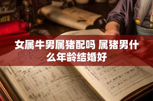 女属牛男属猪配吗 属猪男什么年龄结婚好