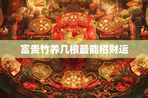 富贵竹养几根最能招财运