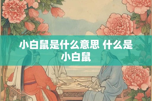 小白鼠是什么意思 什么是小白鼠