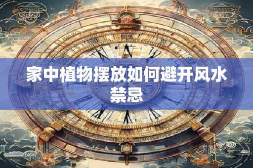 家中植物摆放如何避开风水禁忌