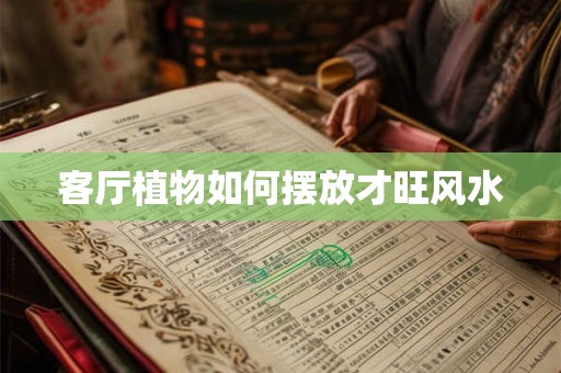 客厅植物如何摆放才旺风水