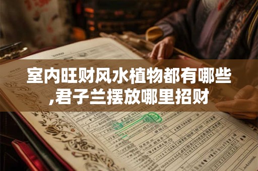 室内旺财风水植物都有哪些,君子兰摆放哪里招财