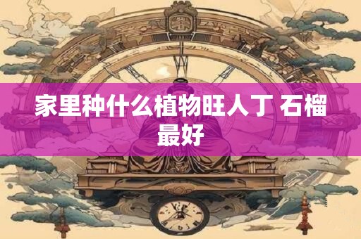 家里种什么植物旺人丁 石榴最好