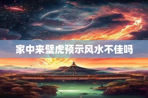 家中来壁虎预示风水不佳吗
