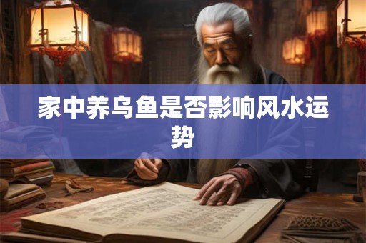 家中养乌鱼是否影响风水运势