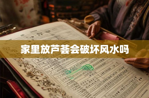 家里放芦荟会破坏风水吗