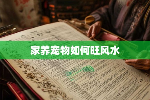 家养宠物如何旺风水